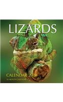 Lizards Calendar 2016: 16 Month Calendar: 16 Month Calendar