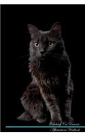 Nebelung Cat Affirmations Workbook Nebelung Cat Presents: Positive and Loving Affirmations Workbook. Includes: Mentoring Questions, Guidance, Supporting You.