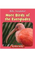 More Birds of the Everglades