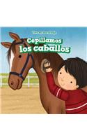 Cepillamos Los Caballos (We Brush the Horses)