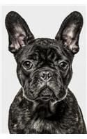 French Bulldog: Artified Pets Journal/Notebook/Diary, 6" by 9" and 160 Pages