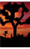 Joshua Tree Dusk Notebook: 150 Page Notebook Journal Diary
