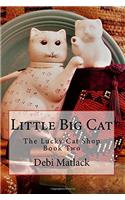 Little Big Cat