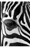 Wild Zebra Graph Paper Notebook 200 Pages 8 1/2 x 11 Inches