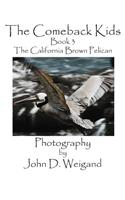 The Comeback Kids, Book 3, the California Brown Pelican