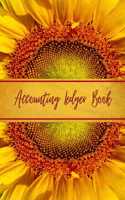 Accounting Ledger Book