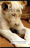 Lion Cubs Note Monthly 2020 Planner 12 Month Calendar