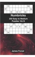 250 Numbricks 10x10 easy to medium puzzles: Numbricks puzzle books for adults