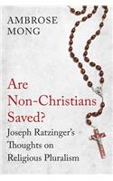 Are Non-Christians Saved?