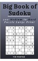 Big Book of Sudoku