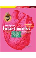 How Your Heart Works: (Beacons S.)