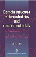 Domain Structure in Ferroelectrics and Related Materials