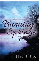 Burning Springs