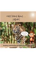 Matt Learns About. . . Jaguars