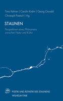 Staunen: Perspektiven Eines Phänomens Zwischen Natur Und Kultur(6 Poetik Und Ästhetik Des Staunens)