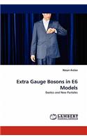 Extra Gauge Bosons in E6 Models