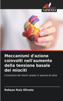 Meccanismi d'azione coinvolti nell'aumento della tensione basale dei miociti