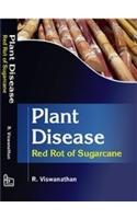 Plant Disease: Red Rot Of Sugarcane