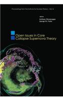 Open Issues in Core Collapse Supernova Theory