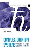 Complex Quantum Systems: Analysis of Large Coulomb Systems