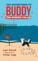 Adventures of Buddy the Border Collie