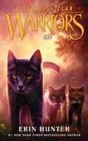 Warriors: A Starless Clan #2: Sky