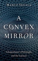 Convex Mirror