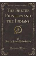 The Shetek Pioneers and the Indians (Classic Reprint)