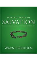 Making Sense of Salvation