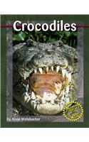 Crocodiles