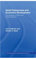 Small Enterprises and Economic Development