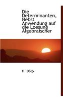 Die Determinanten, Nebst Anwendung Auf Die Loesung Algebraischer