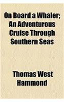 On Board a Whaler; An Adventurous Cruise Through Southern Seas