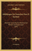 Abbildungen Zur Deutschen Flora H. Karsten's
