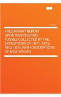 Preliminary Report Upon Invertebrate Fossils Collected by the Expeditions of 1871, 1872, and 1873, with Descriptions of New Species