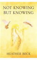 Not Knowing But Knowing