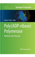 Poly(ADP-ribose) Polymerase