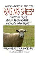 Beginner's guide to Raising Sheep - Don't Be Dumb About Raising Sheep...Because They Aren't