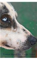 Catahoula Leopard Dog February Notebook Catahoula Leopard Dog Record, Log, Diary, Special Memories, To Do List, Academic Notepad, Scrapbook & More