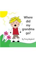 Where did my grandma go?: Coping with grief through imagination(5 Children in Grief)