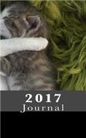 2017: Journal(Blank Journals, Diary, Notebook)