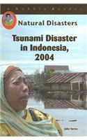 Tsunami Disaster in Indonesia, 2004