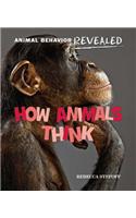 How Animals Think