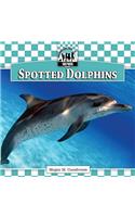 Spotted Dolphins