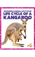 Life Cycle of a Kangaroo