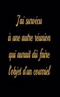 J'ai survécu à une autre réunion qui aurait dû faire l'objet d'un courriel - journal de bord ligné: cadeaux de carnets pour filles et garçons - J'ai survécu à une autre réunion qui aurait dû faire l'objet d'un courriel