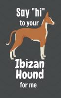 Say "hi" to your Ibizan Hound for me: For Ibizan Hound Dog Fans