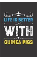 Life Is Better With Guinea Pigs