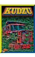 Kudzu