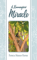 Hummingbird Miracle